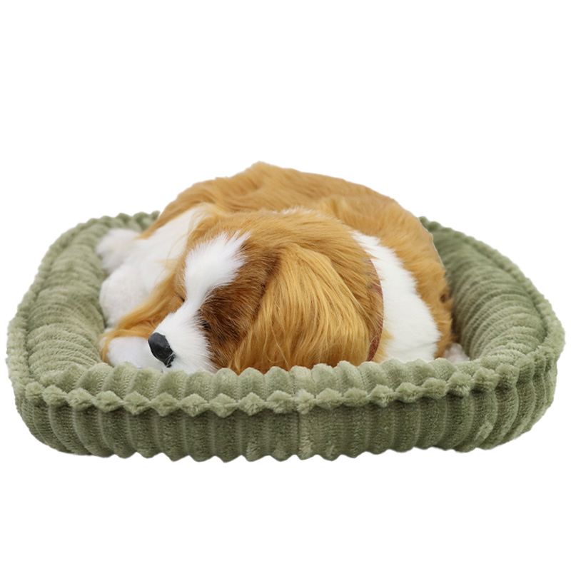 Perfect petzzz on sale king charles spaniel